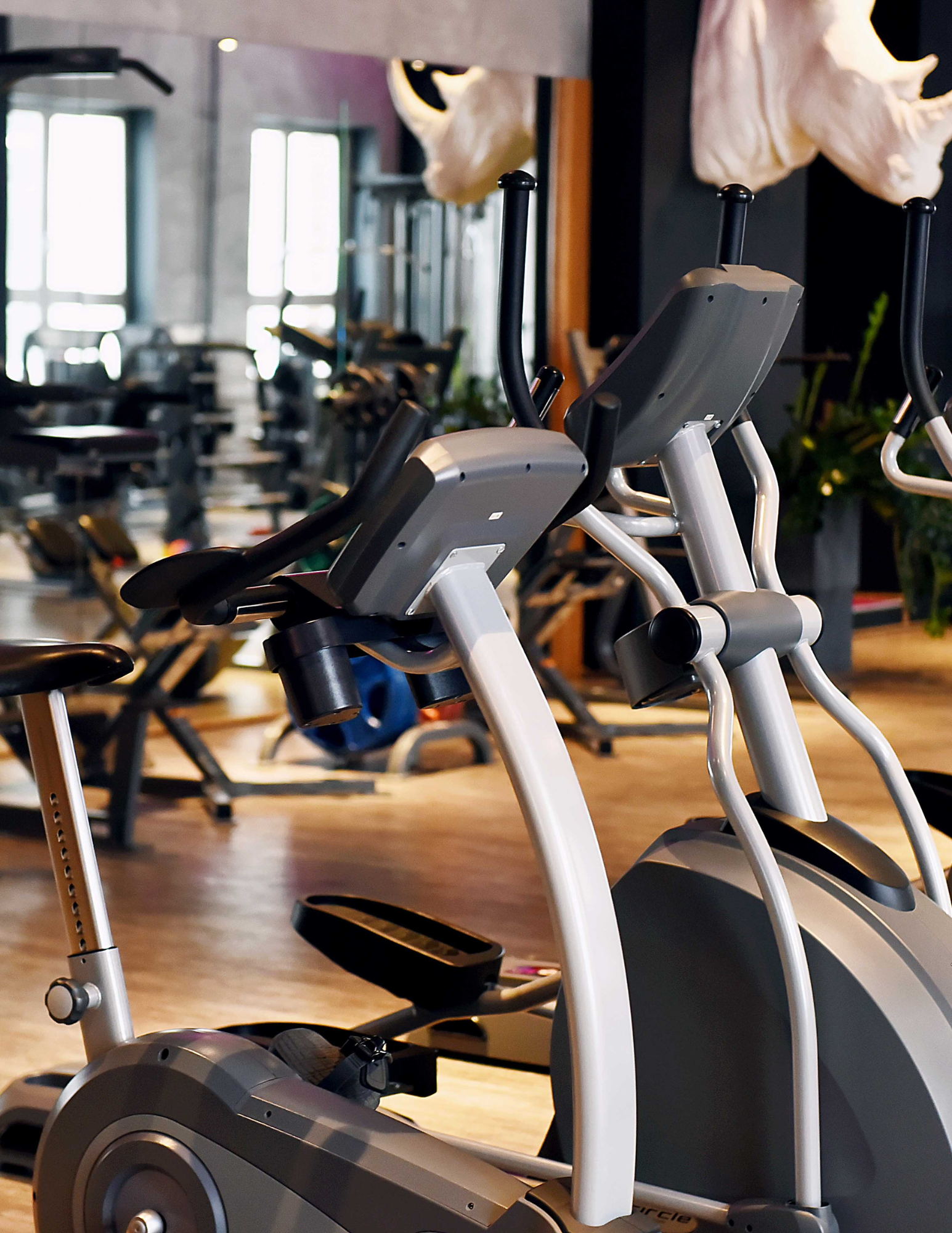 Read more about the article Best Treadmills for Small Spaces